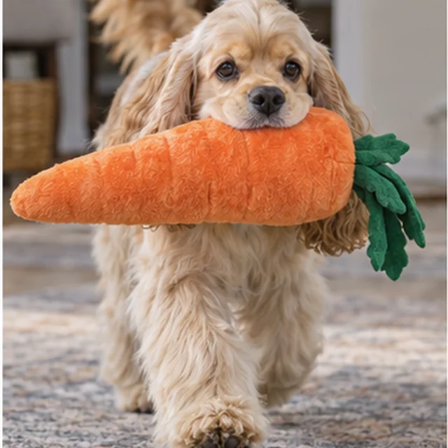 Американський кокер-спанієль
